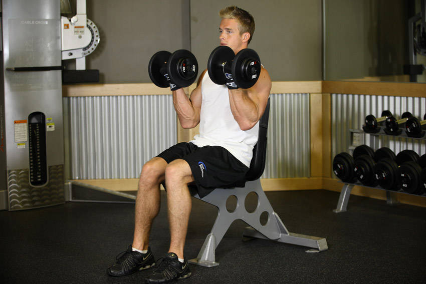 seated dumbbell curls