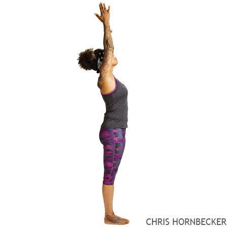 woman exercising Urdhva Hastasana Upward Salute pose yoga silhouette shadow  white background Stock Photo  Alamy