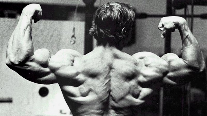 10 советов Арнольда Шварценеггера для укрепления рельефа мышц